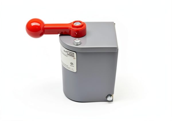 DAYTON 2X440 Reversing Drum Switch 230V-DC 2 HP Industrial Switch-2